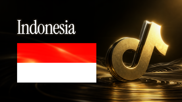 BC3 TikTok Ad Account, Auto Payment, IDR